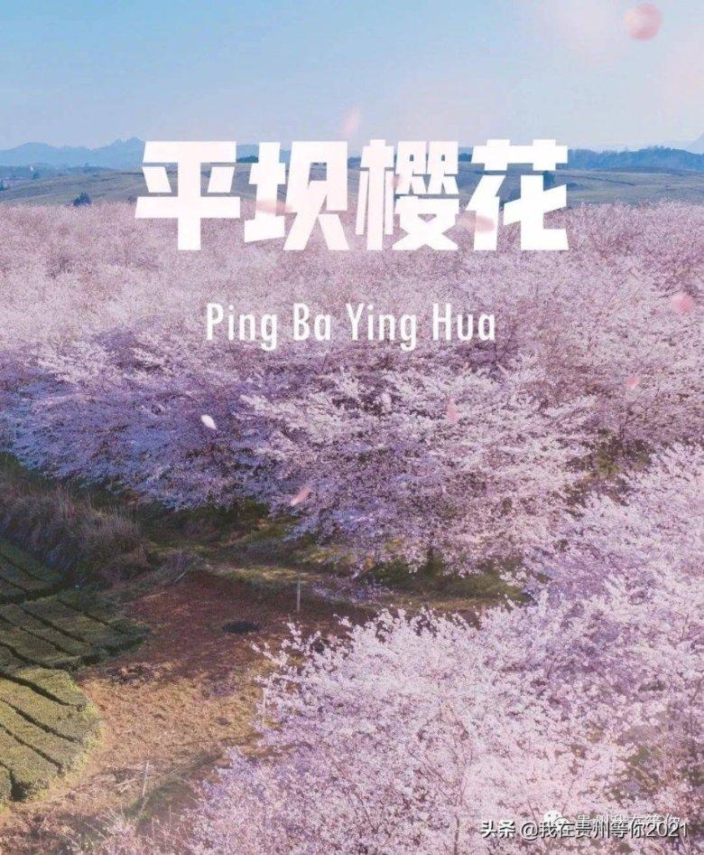 68岁周润发参加半马2小时26分完赛！他说如果跑进2小时就挑战全马，要跑到90岁